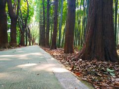 -同里国家湿地公园