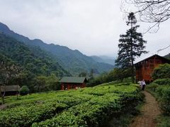-姑婆山旅游区