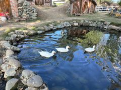 -HERRE·FARM 赫尔露营农场·团建聚会包场