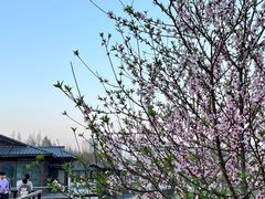-渤公岛生态公园
