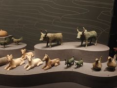 -广西壮族自治区博物馆