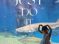 -多彩贵州城极地海洋世界