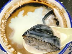 龟苓膏-達揚原味燉品(文明路店)