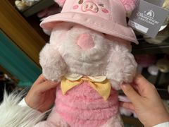 -迪士尼小镇