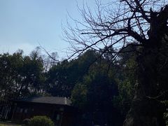 -东湖落雁景区