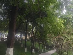 -龙头寺公园