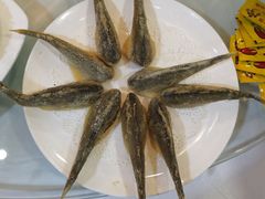 -渭塘酒家(生态园店)