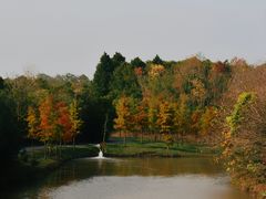 -上海海湾国家森林公园