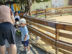 -HERRE·FARM 赫尔露营农场·团建聚会包场