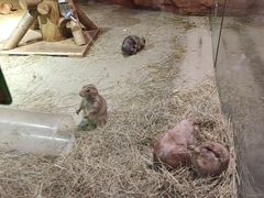 -正佳雨林生态植物园