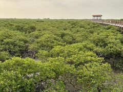-北海金海湾红树林生态旅游区