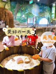 -宝燕乐园(闵行旗舰店)