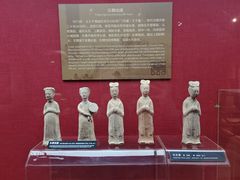 -亳州博物馆