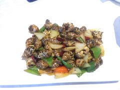 -金蝉食府(维吉奥广场店)