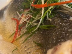 -陶缘一号·四季缘·老字号顺德菜·户外婚礼家宴(西滘店)