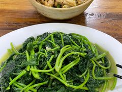 蒜蓉炒番薯叶-顺发饭店