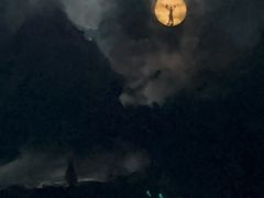 -《神游传奇》秀