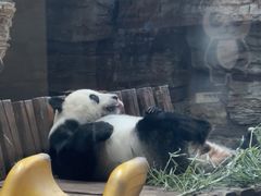 -石家庄市动物园