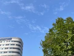 -首都医科大学附属北京天坛医院