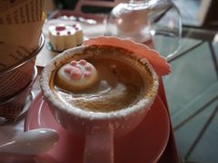 -喵屿·大理花园猫咖