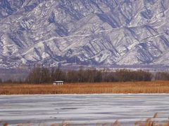 -野鸭湖国家湿地公园