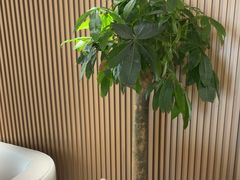 -普天和酒楼(天津之眼店)