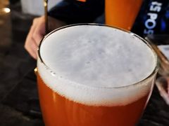 -板凳鲜酿·精酿啤酒(科华北路店)