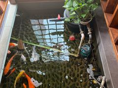 -尺山寸水日料(马桥满天星店)