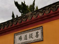 -上海东林寺(金山区)