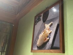 -小吊梨汤·北京菜·烤鸭(清河万象汇店)