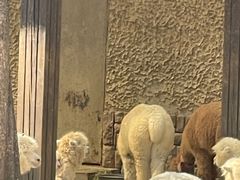 -南昌动物园