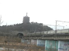 -永定河休闲森林公园