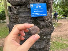 -中国科学院西双版纳热带植物园