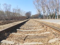 -永定河休闲森林公园