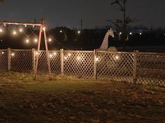 -栖露营camping·天幕烧烤·团建拓展·采摘营地