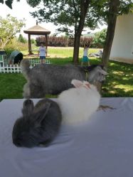 -DORA kids 朵拉儿童摄影花园店