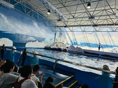 -秦皇岛乐岛海洋王国