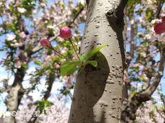 -元大都城垣遗址公园