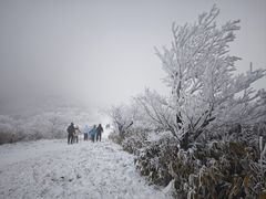 -安吉龙王山风景区