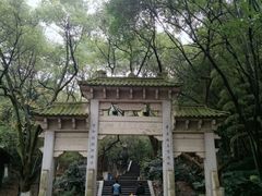 景点-峙山公园