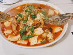 -煲来饱去冷水鱼