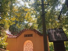 -宝通禅寺