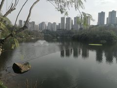 -重庆彩云湖湿地公园
