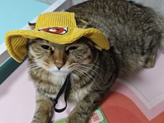 -瑞虹新天地月亮湾