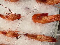 -打酱友•斑鱼海鲜粥火锅(吴桥店)