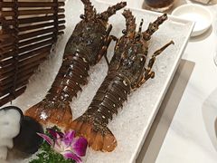-帝皇海海鲜豆捞(桐泾商务广场店)