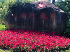 -鹅湖玫瑰文化园