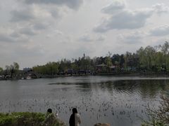 -长春市南湖公园