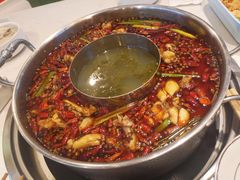 招牌麻辣锅-蛙两只美蛙鱼头火锅(恒茂店)