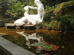 -南山植物园